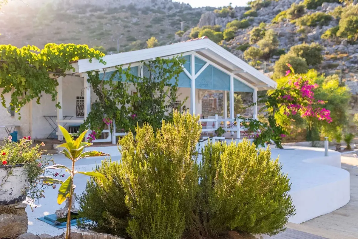 Mature garden